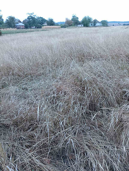 Продаж Будинок Ostapkivtsi - photo 7