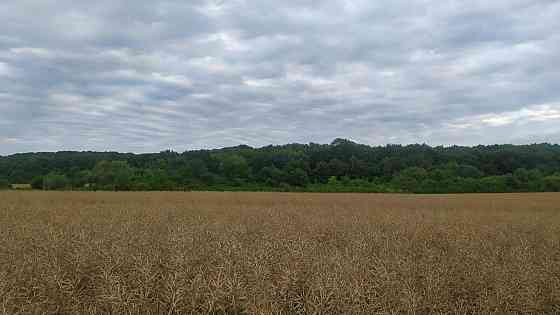 Продаж земельної ділянки 8 соток Ямпіль