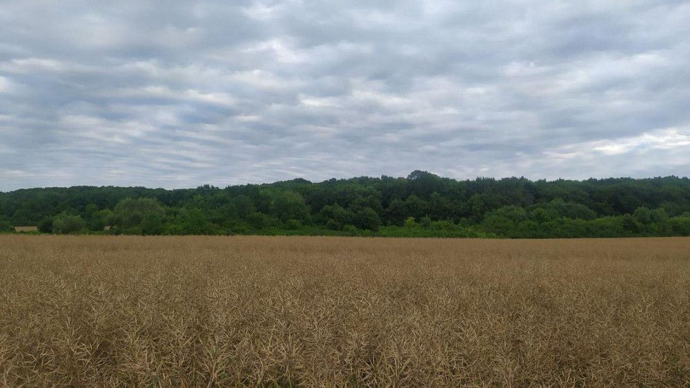 Продаж земельної ділянки 8 соток Ямпіль - фото 5