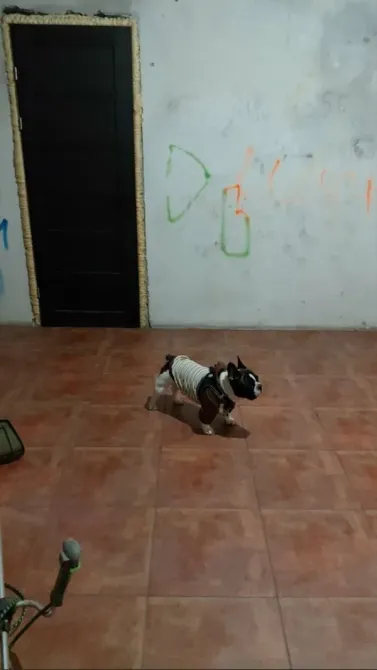 Продаж 2-поверховий Будинок  252 кв.м 7+ кімн.  Дніпро - фото 8