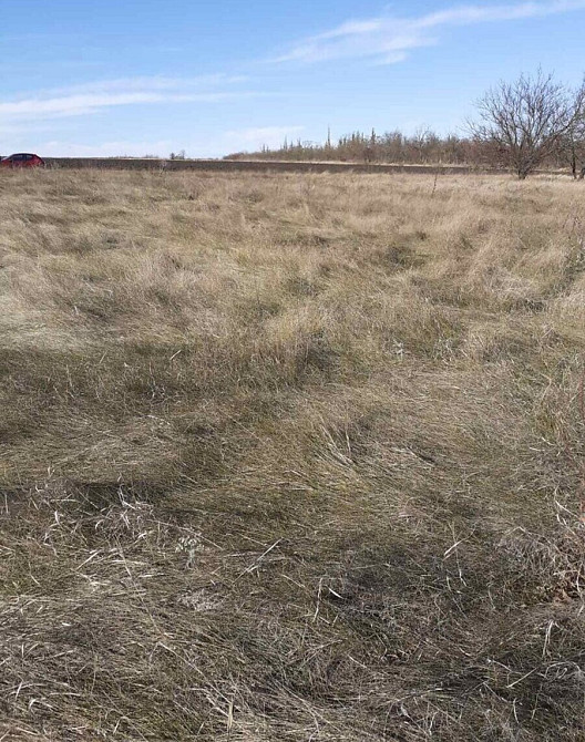 Продаж земельної ділянки 17 соток Липове - фото 3