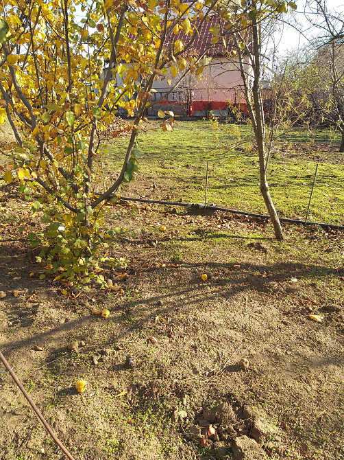 Продаж земельної ділянки 0.1 соток на Витамин ( 12-й переулок), 2 Нерубайське - фото 3