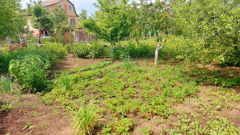 Продається будинок, смт. Мотовилівка, Фастівський район  - photo 14