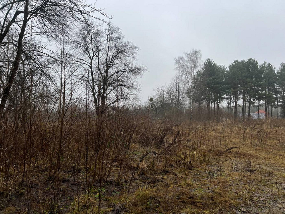 Продаж земельної ділянки 23 соток на вул. Лісова  - фото 4