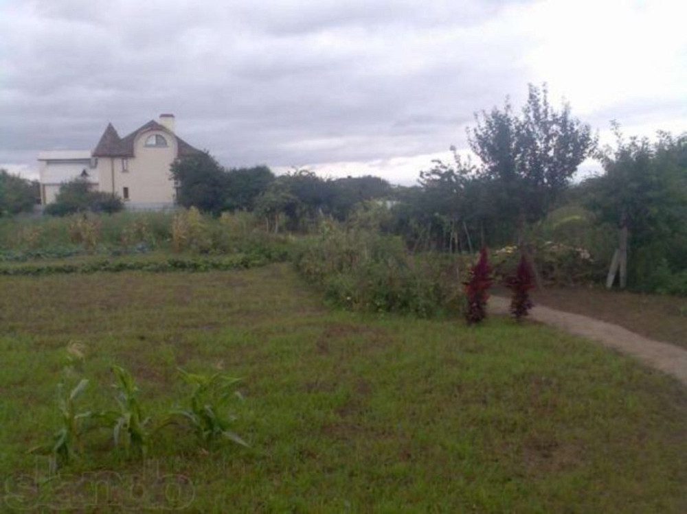 Продаж земельної ділянки 25 соток  - фото 1