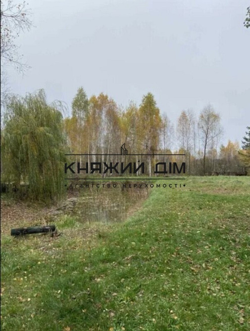 Экологически чистое место в лесу, с. Растисное возле Дымер Вышгородский р-н, № 229681  - фото 8