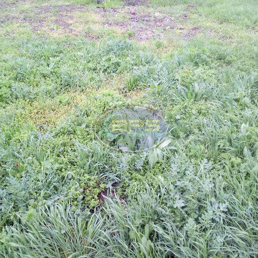 Продаж земельної ділянки 4.62 га Овідіополь - фото 1