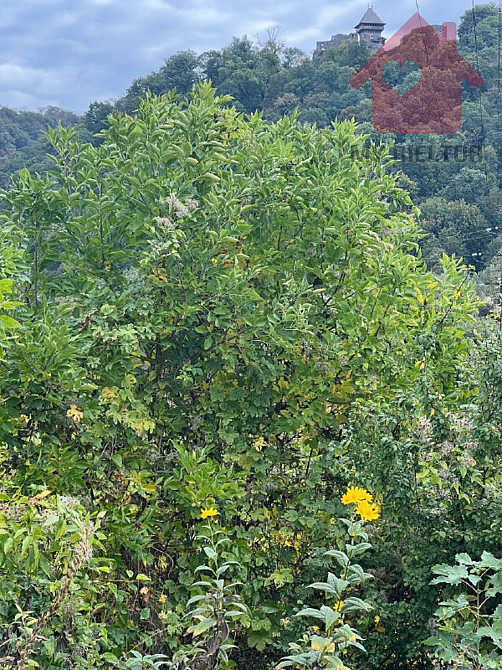 Продаж земельної ділянки 29.4 соток  - photo 12