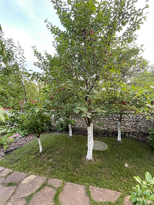 Продаж будинку 290м та 6 сот с.Байківці Байківці - фото 19