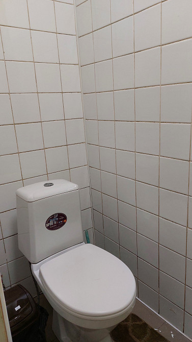 Продается одноэтажный дом на участке 5 соток ул. Учительская Одеса - фото 14