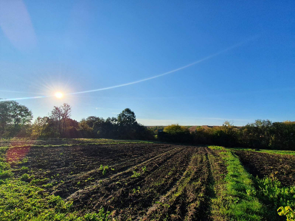 Без комісії агенції! Продаж. Окремостоячий будинок . с Городище. р-н Козівський Городище (Зборівський район) - фото 12