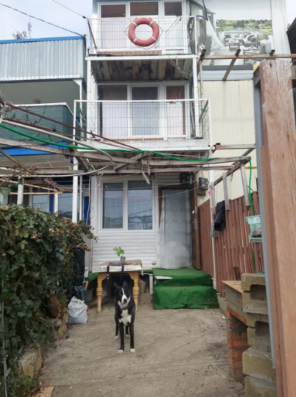 Продам 3-х поверхову курінь-дачу на березі моря в Крижанівці (Причал 218) Kryzhanivka (Kominternivskyi raion) - photo 1