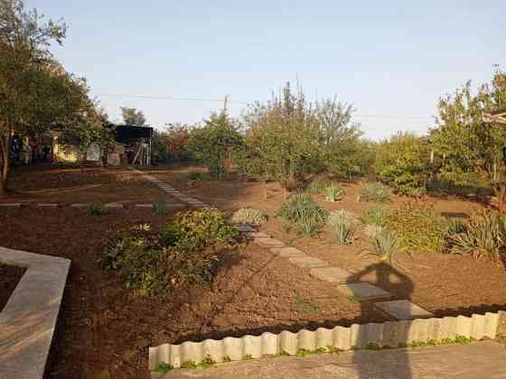 Продам дом с. Кошары Кошари (Комінтернівський район)