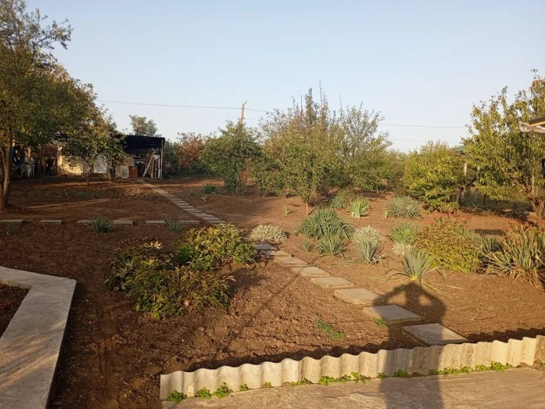 Продам дом с. Кошары Кошари (Комінтернівський район) - фото 3