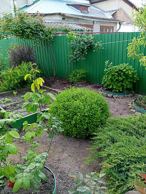 Продаж земельної ділянки 0 соток на Вишневый Сад ( пер. Ботанический), 87 Молодіжне - фото 18