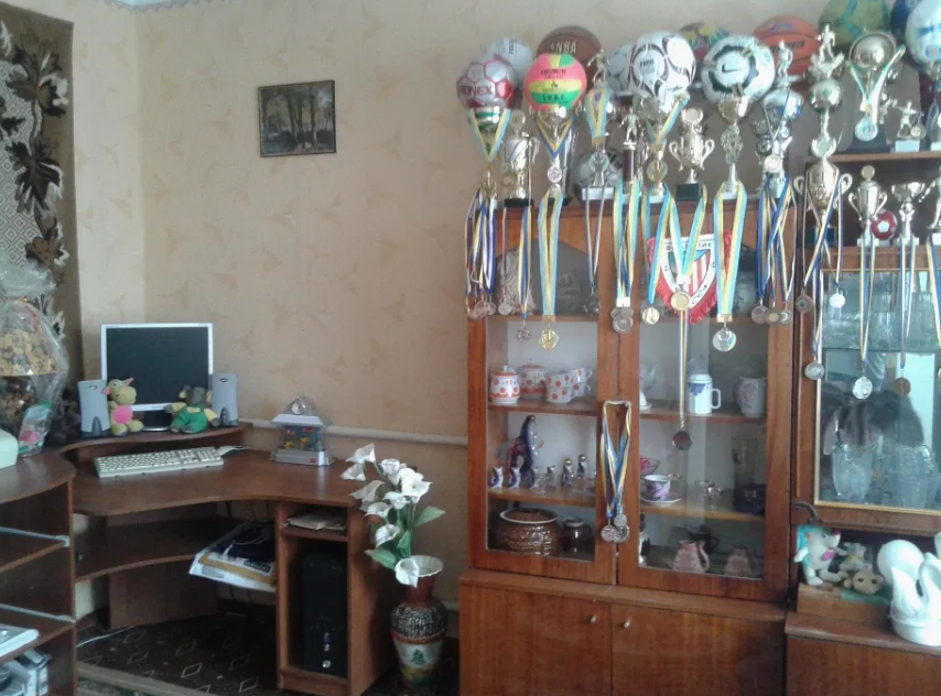 Продам дом в с. Севериновка Северинівка - фото 8