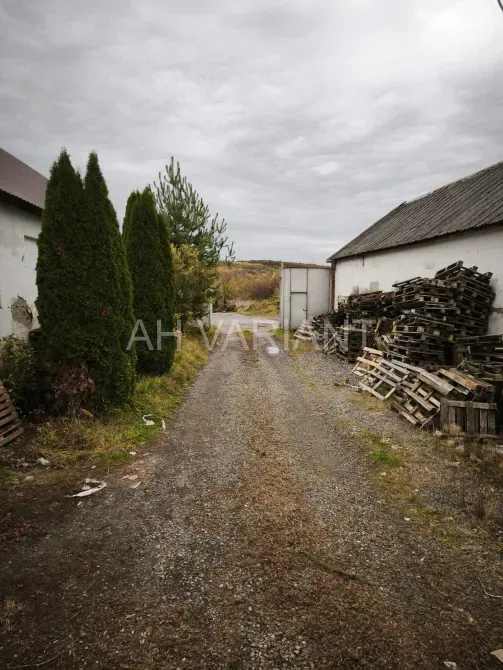 Продаж Склад / ангар площа 720 кв.м на Вознесенська 2Б Ужгород - фото 10