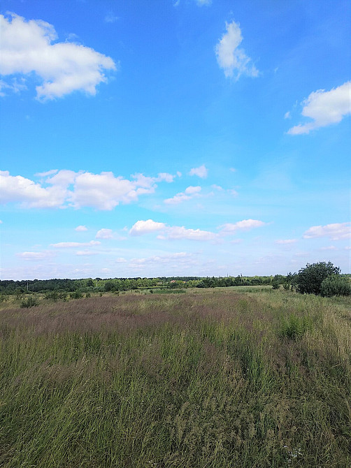 Продаж земельної ділянки 19 соток на Урочище за Оленою Вовковою  - photo 5