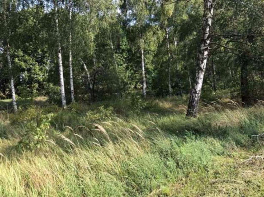 Продаж земельної ділянки  - фото 2