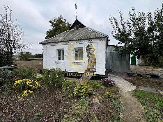 Продам просторий будинок у центрі с. Дрозди, 