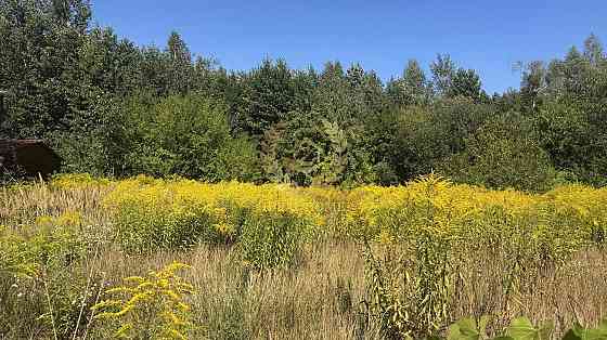 Продаж земельної ділянки 9.46 соток на Мира ул. Федорівка (Іванківський район)