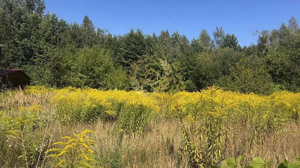 Продаж земельної ділянки 9.46 соток на Мира ул. Федорівка (Іванківський район) - фото 2