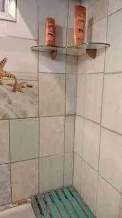 Оренда Квартира 1-кімнатна, 4/5 поверх на ул. Алма-Атинская Київ