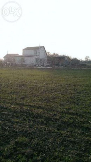 Продаж земельної ділянки 24 соток  - фото 4