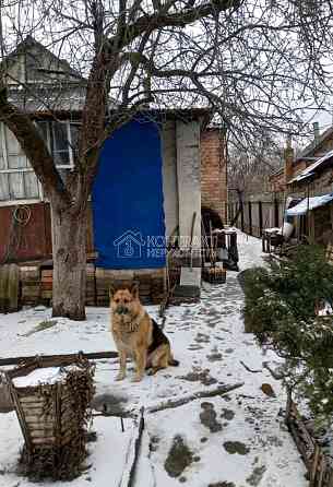 Оренда Квартира 1-кімнатна, 1/1 поверх на вул. Бульварна Высокий