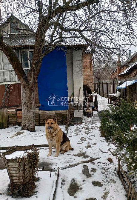 Оренда Квартира 1-кімнатна, 1/1 поверх на вул. Бульварна Високий - фото 4