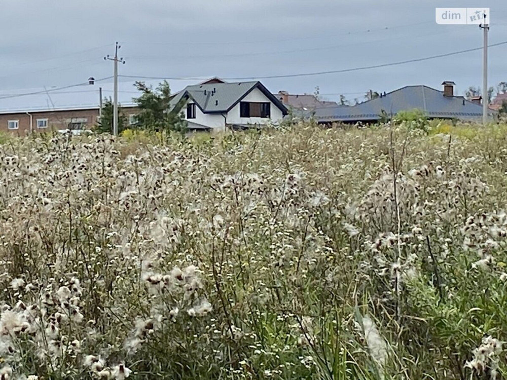 Продаж земельної ділянки 70 соток Vinnytsya - photo 3