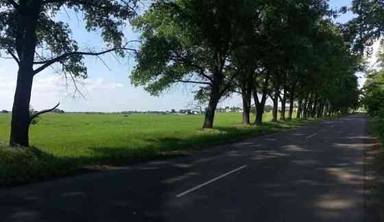 Продаж земельної ділянки 12 соток Вороньківка