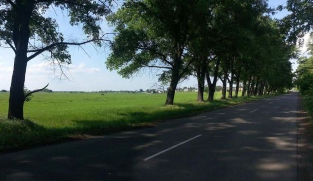 Продаж земельної ділянки 12 соток Вороньківка - фото 1