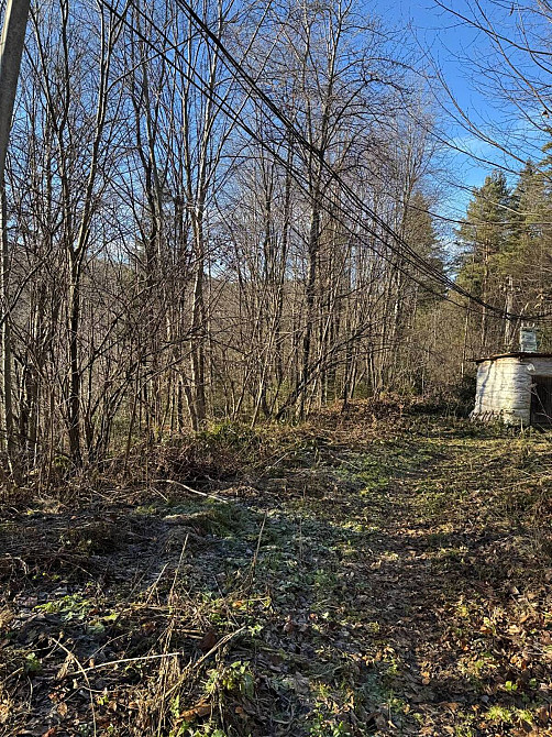 Продаж земельної ділянки 24 соток на Свободі Yaremche - photo 13