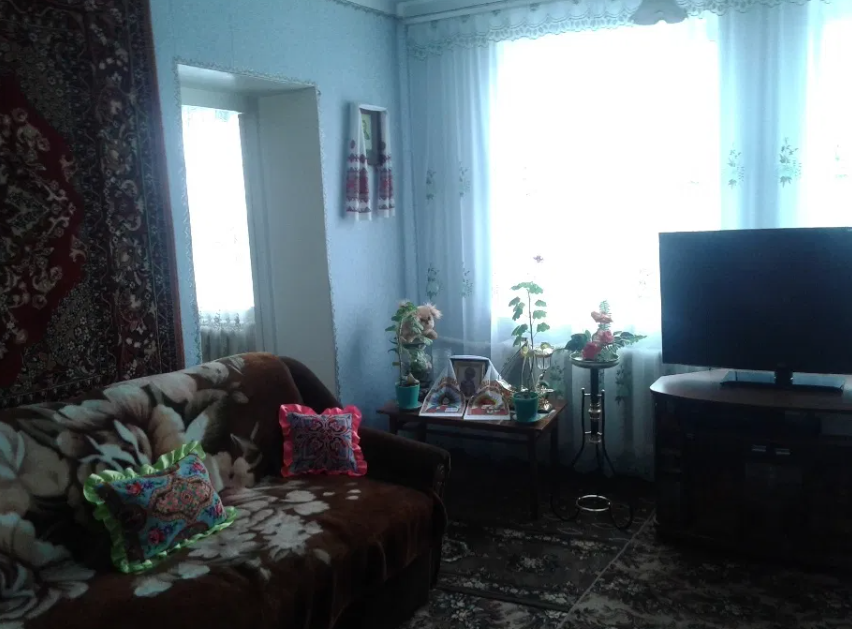 Продам дом в с. Севериновка Северинівка - фото 7