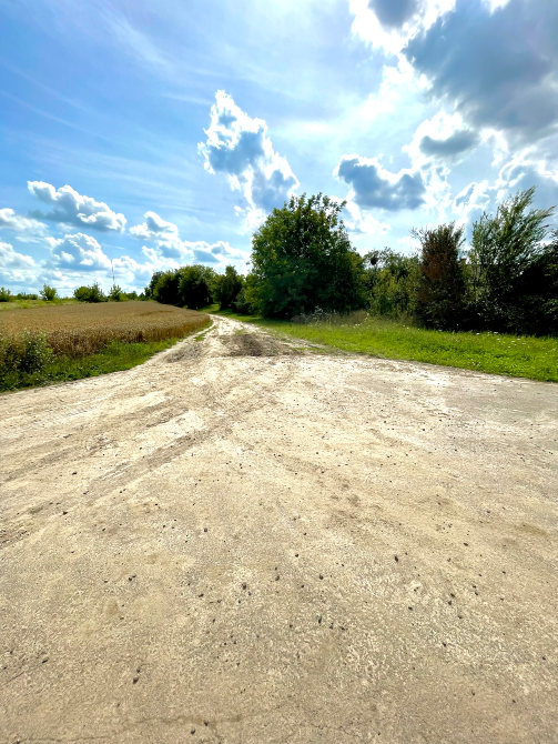 Продаж 1-поверховий Будинок з ділянкою 0.2496 сот 104.4 кв.м 3 кімн. на Новоставська Шостаків - фото 13