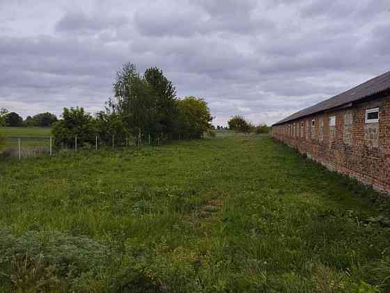 Продаж приміщення вільного призначення на Молодіжна вул., 1а поверх - 1/1 Плоске (Козивський район)
