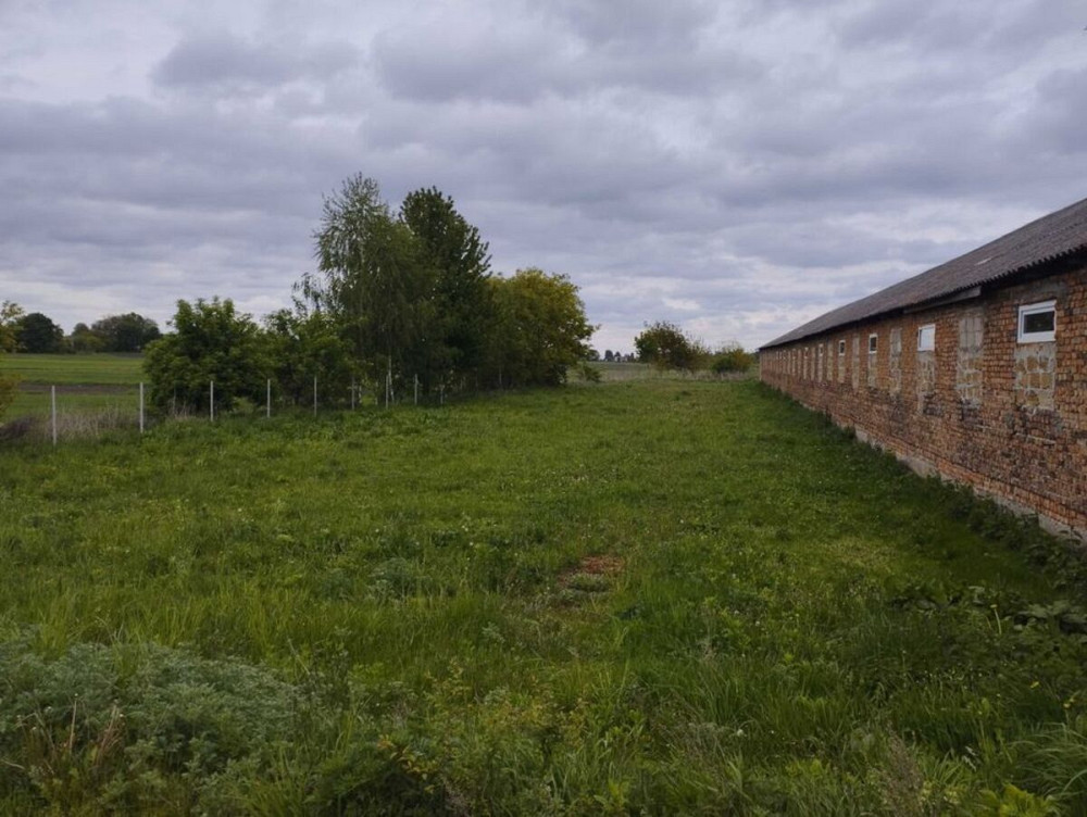 Продаж приміщення вільного призначення на Молодіжна вул., 1а поверх - 1/1 Плоске (Козивський район) - изображение 4