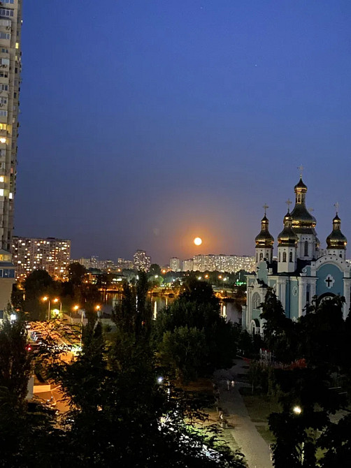 Оренда Квартира 1-кімнатна, 6/9 поверх на Шумського, 6 Київ - фото 8