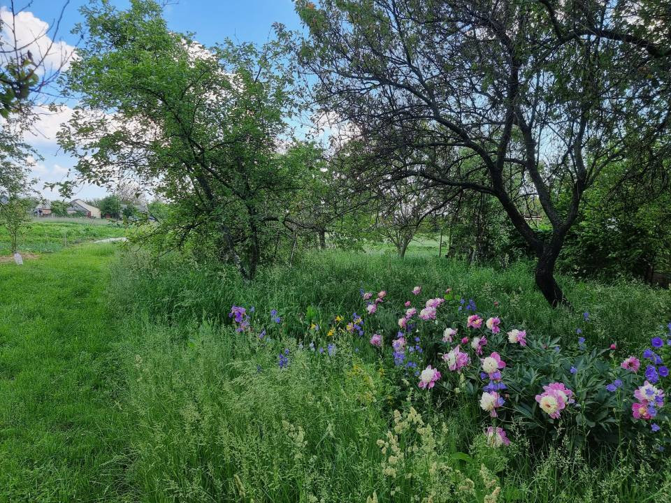 Продаж 2-поверховий Будинок  159 кв.м 6 кімн. на , Дубіївка - фото 2