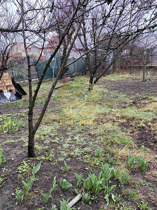 Продам дачний будинок Здорівка Zdorivka - photo 13