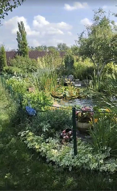 Продам особняк в м. Узин Uzyn - photo 5