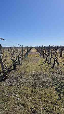 Продаж земельної ділянки 7.72 га на вул. 1 Овідіополь