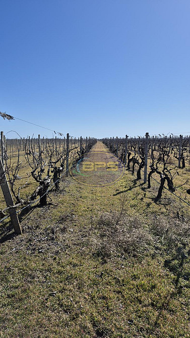 Продаж земельної ділянки 7.72 га на вул. 1 Овідіополь - фото 6