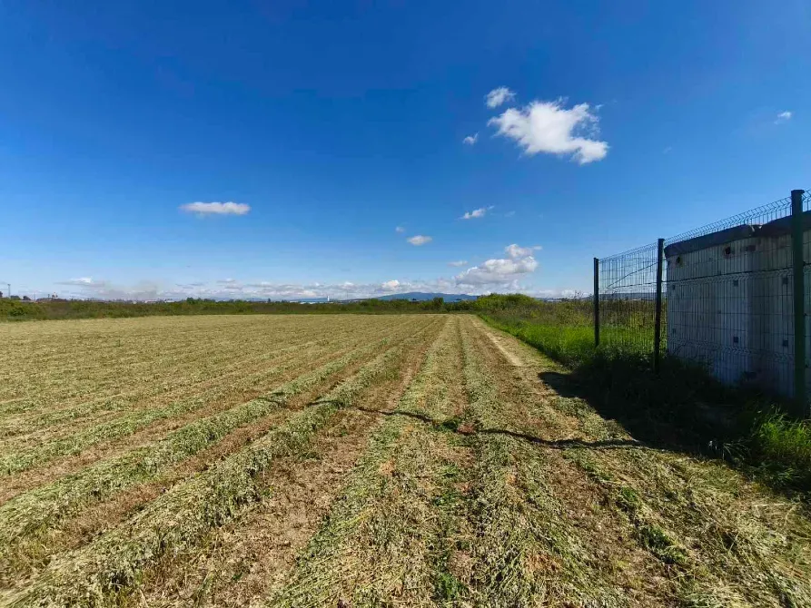 Продаж земельної ділянки Для сільськогосподарської діяльності площа 8 сот Польова Кінчеш - фото 13