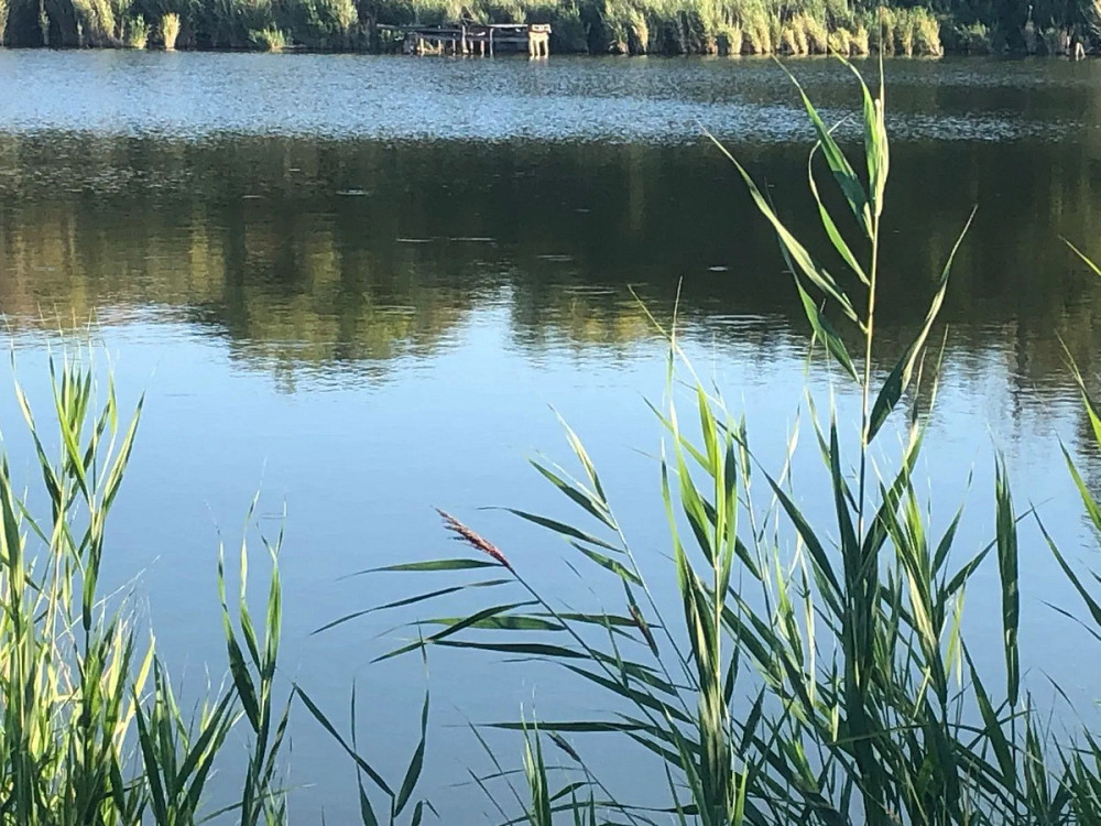 Продається будинок із садом та виходом до річки Високі Байраки - фото 17