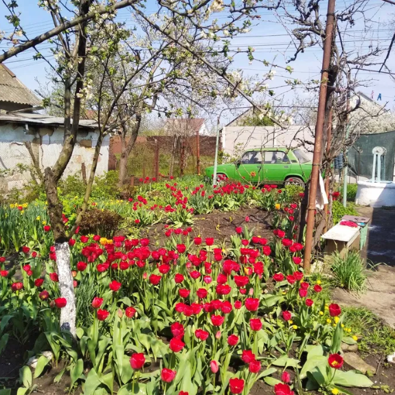 Продам дом-дачу в с.Светлое (5 км от Одессы) Світле - фото 17