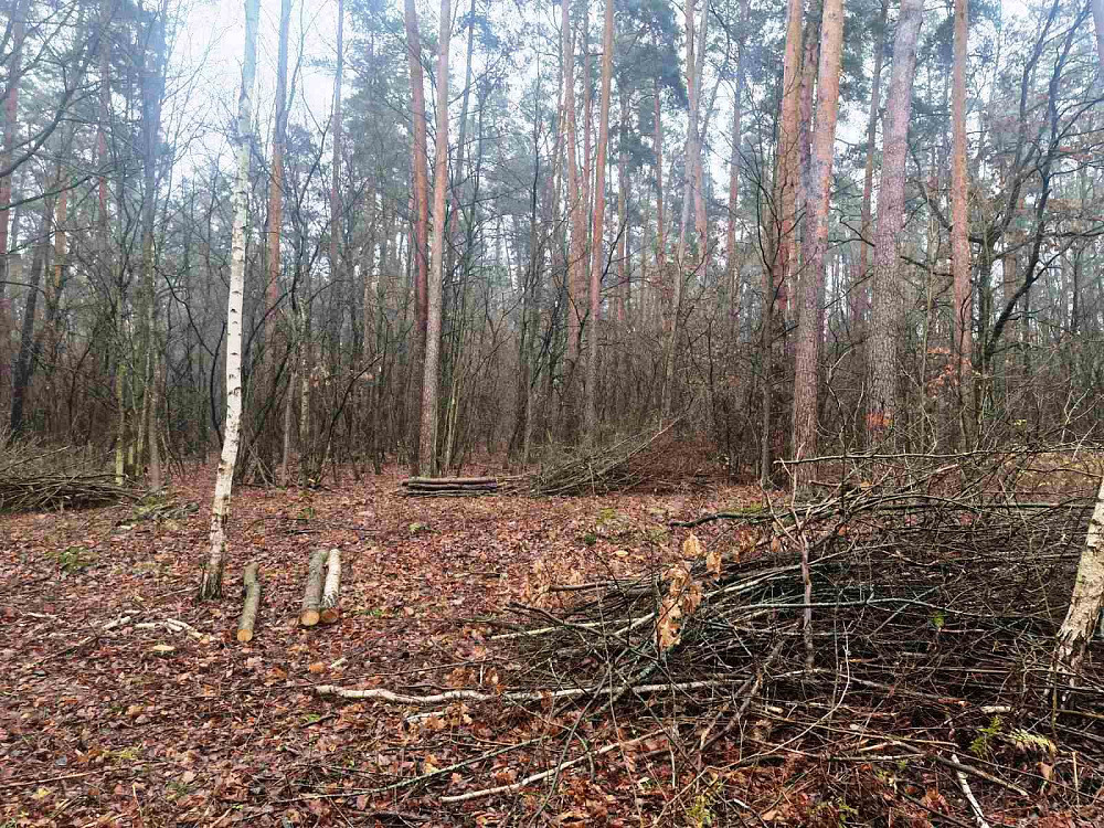 Продаж земельної ділянки 24 соток  - фото 7