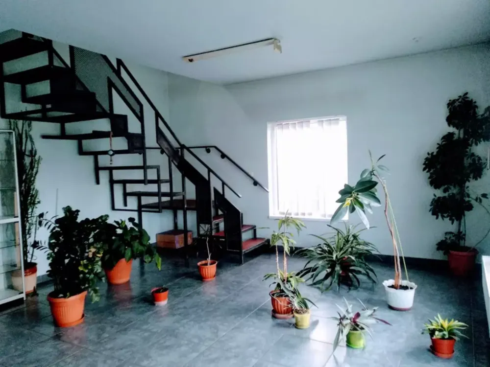 Оренда приміщення вільного призначення на Минайська поверх - 1/2 Ужгород - изображение 1