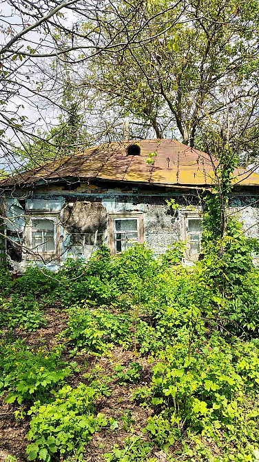 Продаж земельної ділянки 48 соток на Мічуріна  - фото 6